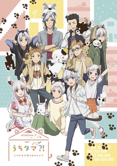 Zaq Animesongs Org Zaq Animesongs Org
